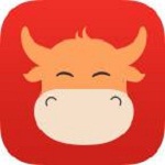 麥卡利斯特談利物浦新款長袖球衣：我太喜歡了，感覺很特別